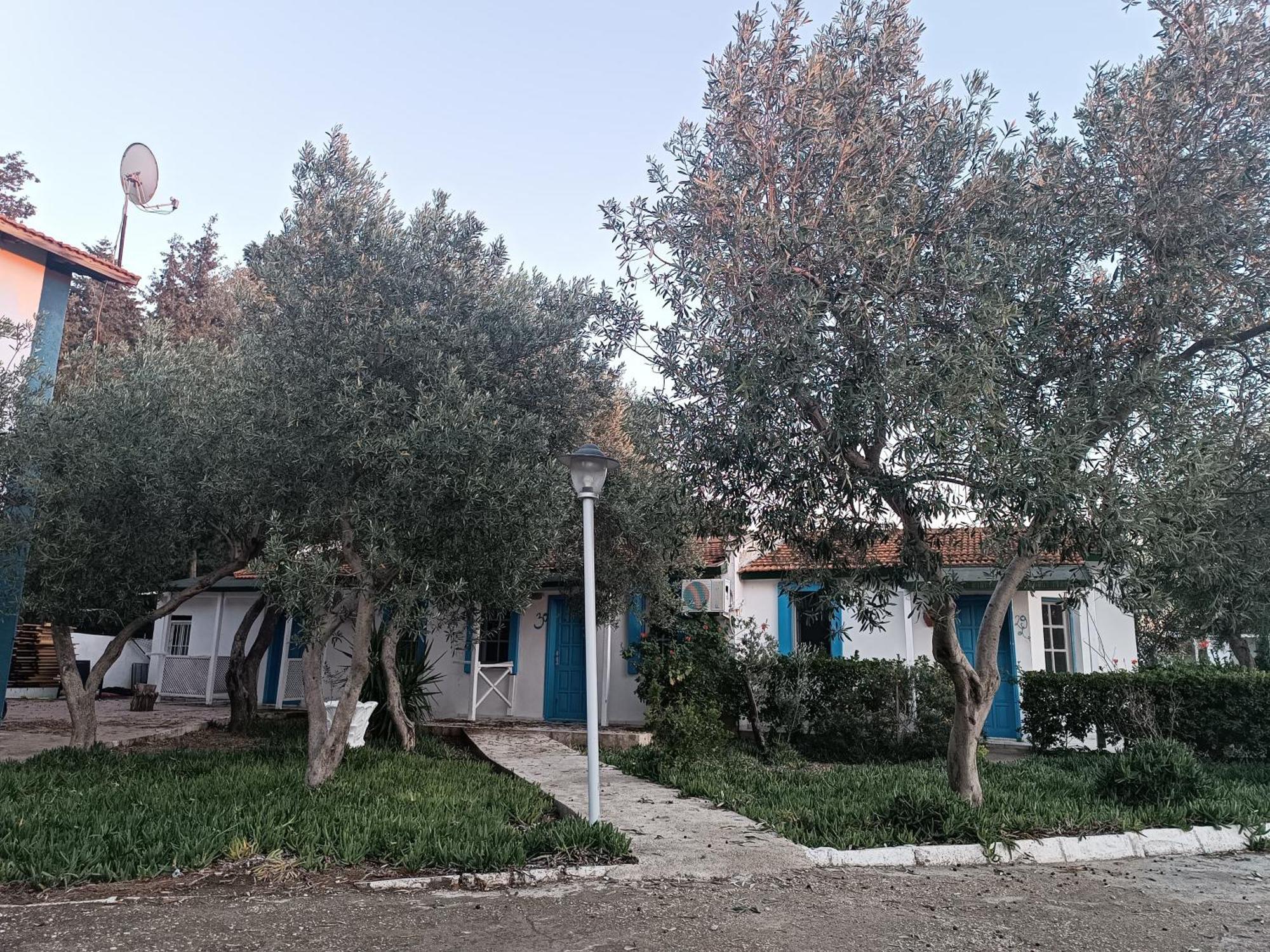 Hotel Teos Ormanci Tatil Koyu Seferihisar Exterior foto