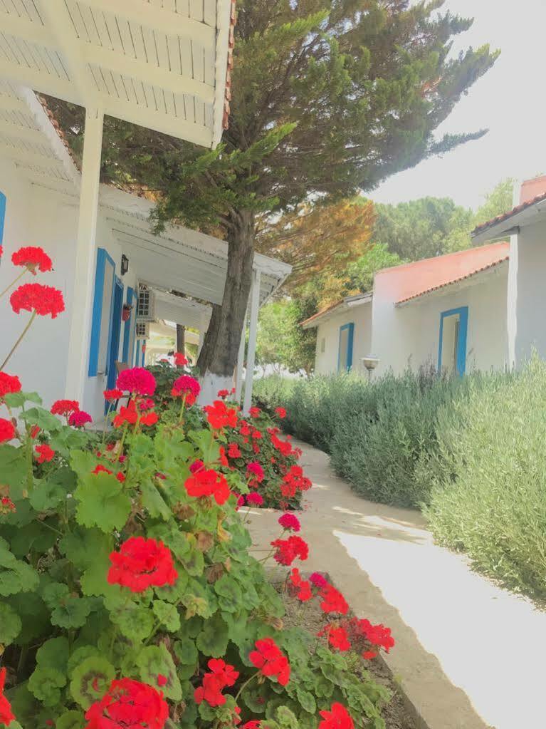 Hotel Teos Ormanci Tatil Koyu Seferihisar Exterior foto